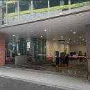 코티스 앰버서더 이미지