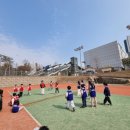 한국체대 신일태권도장 이미지