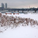 하얀세상 이미지