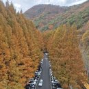 영동신경외과의원 이미지