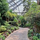 우리꽃식물원 이미지