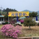시골밥상 | [충남 태안] 시골밥상 - 만리포 인근 미역국 백반집