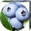 비당농장 이미지