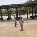 삼일어린이집 이미지