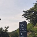 [아기랑 인천] 무의도자연휴양림 숲속의 집 '선갑도' 1박 2일 후기