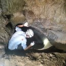 (주)보광제주 이미지