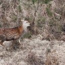 종로-종로-종로-종-104 이미지