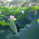 부소산 관광안내소 이미지