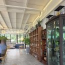 카페808 - 강남구 강남대로 470 | 경남 고성 카페 추천 다이노808 후기, 부모님 모시고 가기 좋은 산속 베이커리 카페