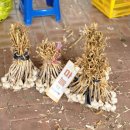 가야대역　 이미지