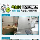 이누스 이데일리