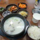 서울 <전설애국밥> 내돈내산 냉정솔직후기