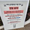 태안 안면도 실내애견동반카페에서 힐링하는 날 트레블브레이크커피