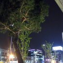 사당역 12번 출구 앞 이미지