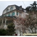 벚꽃향기민박 이미지