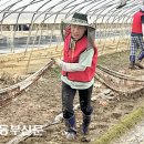 이종태농장 이미지