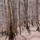 파크밸리대중골프장 이미지