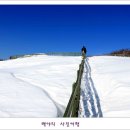 백야 Daum카페