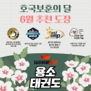 용소 태권도장 이미지