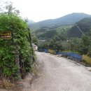 양지민박 이미지