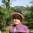 유구농장 이미지