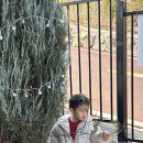 신불산 베이스캠프 오토캠핑장 이미지