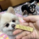 디자인덴탈랩 이미지