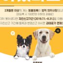 이태원동물병원 이미지