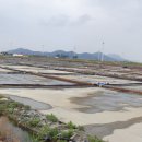 백수읍사무소 이미지