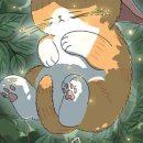 달과고양이 이미지