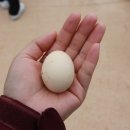 은해로운 캠핑장 이미지