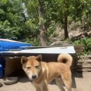 방원가든 이미지