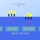 방아실낚시터 이미지