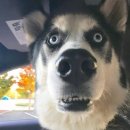 하나로마트(모현점) 이미지