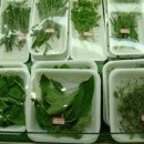 해든하우스 이미지