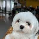 바로나도 수원영통 이미지