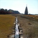 월영동289 | 미륵사지 석탑에 숨은 놀라운 반전