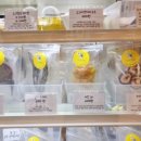 까까앤독 이미지