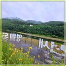 동강래프팅세상