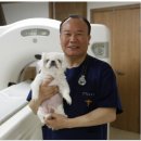 웰튼동물의료센터 이미지