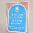 뽀빠이카인테리어 | 파주카페 추천 : '파주브런치카페 더 뽀빠이' 파주카페 방문 후기
