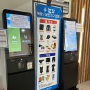 아미고스 | 부산 프리다이빙 물공포증 싹 날린 아미고스다이브 교육 후기