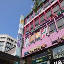 연세안경 | 국산 누진다초점렌즈 가격 50% 반값 할인 연세안경 이용 후기