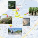 연세대학교 | W.06 베어문버니 연세대학교 서울웨딩스냅 촬영후기(+할인방법)