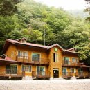 통고산자연휴양림 이미지