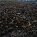 정발산공원 이미지