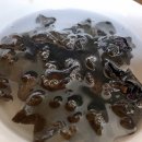 365식품연구소 이미지