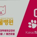 햇살동물병원 네이버블로그