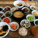 꽁보리밥 Daum카페