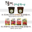 담따 이미지